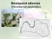 Prezentācija 'Latvijas Universitātes Bioloģijas institūts', 14.