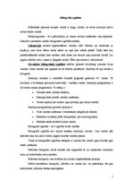 Konspekts 'Bilingvālā izglītība', 1.