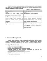 Prakses atskaite 'Prakses atskaite uzņēmumā SIA "ExpressCredit"', 6.