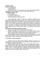 Prakses atskaite 'Prakses atskaite uzņēmumā SIA "ExpressCredit"', 7.