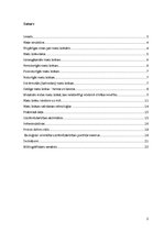 Referāts 'Matu krāsas un to ietekme uz cilvēku un apkārtējo vidi', 2.