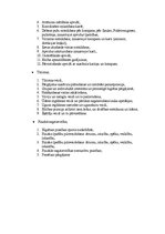 Referāts 'Jauniešu valstiskā organizācija "Jaunsardze" Latvijā un Kurzemes novadā', 13.