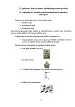 Biznesa plāns 'Biznesa plāns zemnieku saimniecībai "Draiskais vīns"', 11.