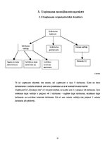 Biznesa plāns 'Biznesa plāns zemnieku saimniecībai "Draiskais vīns"', 15.