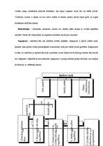 Referāts 'Iztēle', 7.