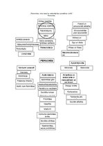 Konspekts 'Personība', 1.