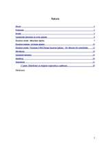 Referāts 'Baznīcu zemes pagātnē un mūsdienās: Valmieras Svētā Sīmaņa baznīca', 2.