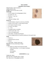 Konspekts 'Ādas audzēji', 1.