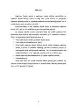 Referāts 'VAS Elektronisko sakaru direkcijas kapitāla izmantošanas analīze', 4.