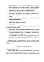 Referāts 'VAS Elektronisko sakaru direkcijas kapitāla izmantošanas analīze', 9.