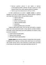 Referāts 'VAS Elektronisko sakaru direkcijas kapitāla izmantošanas analīze', 11.