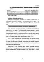 Referāts 'VAS Elektronisko sakaru direkcijas kapitāla izmantošanas analīze', 20.