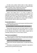 Referāts 'VAS Elektronisko sakaru direkcijas kapitāla izmantošanas analīze', 22.