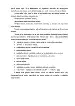 Diplomdarbs 'SIA "Aktīvā tūrisma centrs Eži" attīstības perspektīvas', 14.