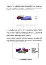 Diplomdarbs 'SIA "Aktīvā tūrisma centrs Eži" attīstības perspektīvas', 78.