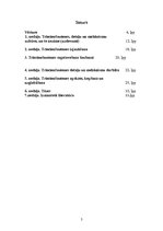 Referāts 'Ierocis AK-4 (G-3)', 2.