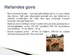 Prezentācija 'Lauksaimniecības dzīvnieki: govis, aitas', 3.