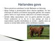 Prezentācija 'Lauksaimniecības dzīvnieki: govis, aitas', 4.