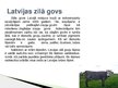 Prezentācija 'Lauksaimniecības dzīvnieki: govis, aitas', 7.