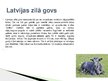 Prezentācija 'Lauksaimniecības dzīvnieki: govis, aitas', 8.