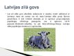 Prezentācija 'Lauksaimniecības dzīvnieki: govis, aitas', 9.