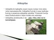 Prezentācija 'Lauksaimniecības dzīvnieki: govis, aitas', 10.