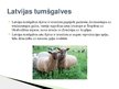 Prezentācija 'Lauksaimniecības dzīvnieki: govis, aitas', 13.