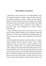 Referāts 'Merkantilisms', 2.