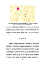 Referāts 'Hemolītiskās anēmijas', 9.