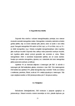 Referāts 'Hemolītiskās anēmijas', 13.