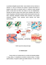 Referāts 'Hemolītiskās anēmijas', 17.