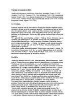 Referāts 'Venēcija', 3.