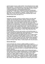 Referāts 'Venēcija', 4.