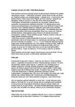 Referāts 'Venēcija', 5.