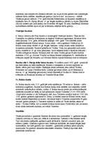 Referāts 'Venēcija', 6.