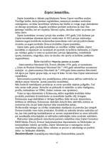 Referāts 'Zepter', 4.