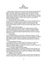 Referāts 'Zepter', 6.