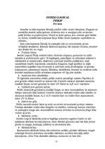 Referāts 'Zepter', 13.