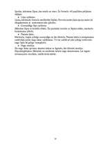 Referāts 'Zepter', 16.