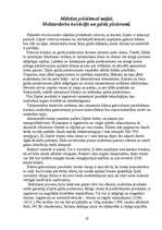 Referāts 'Zepter', 19.