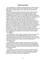 Referāts 'Zepter', 22.