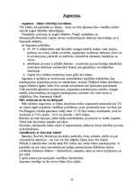 Referāts 'Zepter', 28.