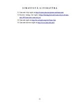 Referāts 'Uzņēmuma analīze', 11.