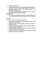 Konspekts 'Latvijas un Norvēģijas starptautiskās tirdzniecības attiecības', 4.