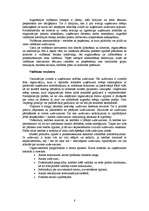 Referāts 'Organizācijas teorijas būtība', 8.