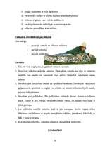 Konspekts 'Pirmā palīdzība hipotermijas un apsaldējumu gadījumā', 8.