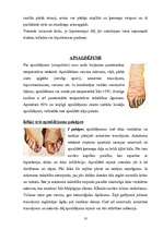 Konspekts 'Pirmā palīdzība hipotermijas un apsaldējumu gadījumā', 10.