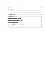 Referāts 'Korupcija', 1.