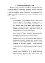 Referāts 'Korupcija', 12.