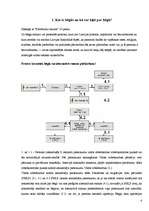 Referāts 'Bēgļi un to patvērumi Latvijā', 4.